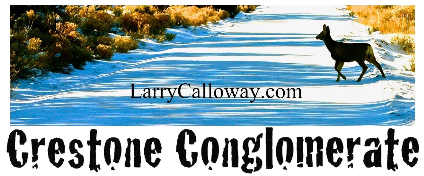 Larry-Calloway-banner